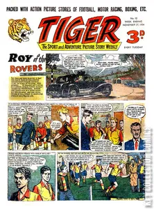 Tiger #12