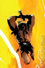 Variant Cover for Fire and Ice: Darkwolf #2