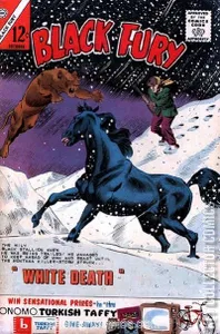 Black Fury #44