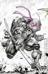 Variant Cover for Teenage Mutant Ninja Turtles #111