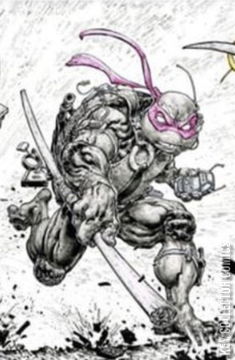 Variant Cover for Teenage Mutant Ninja Turtles #111