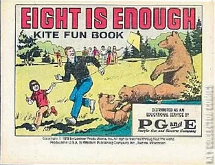 Cover for Eight Is Enough Kite Fun Book