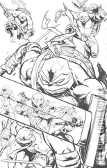 Variant Cover for Mighty Morphin Power Rangers / Teenage Mutant Ninja Turtles #4