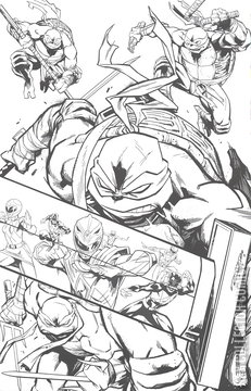 Variant Cover for Mighty Morphin Power Rangers / Teenage Mutant Ninja Turtles #4