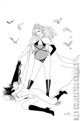 Cover for Vampirella #12