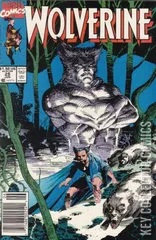 Variant Cover for Wolverine #25