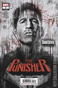 Punisher #3