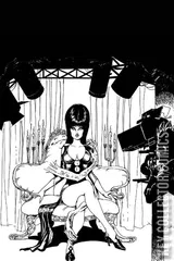 Variant Cover for Elvira: Mistress of the Dark #12