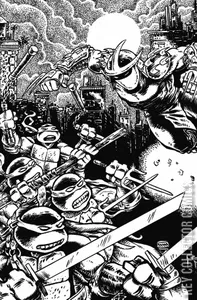 Teenage Mutant Ninja Turtles #36