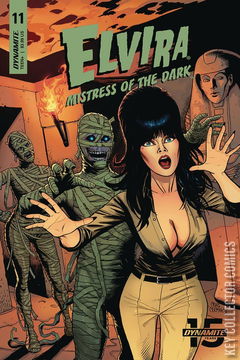 Variant Cover for Elvira: Mistress of the Dark #11