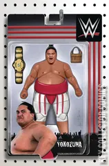 Variant Cover for WWE #22