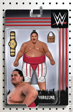 Variant Cover for WWE #22