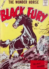 Cover for Black Fury #10