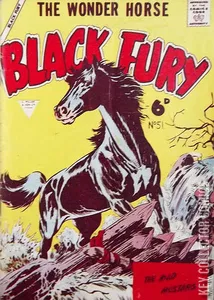 Black Fury #10
