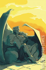 Variant Cover for Gargoyles: Dark Ages #3