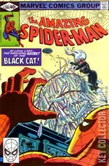 Cover for Amazing Spider-Man #205