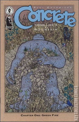 Concrete: Think Like a Mountain