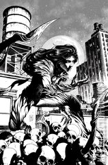 Variant Cover for Witchblade #22