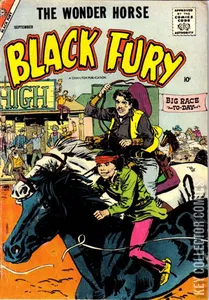 Black Fury #15