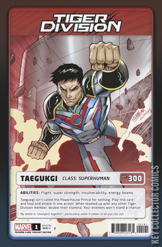 Variant Cover for Tiger Division #1