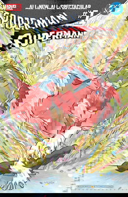 Marvel / DC: Spider-Man / Superman