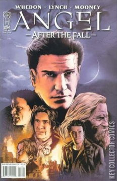 Variant Cover for Angel: After the Fall #14