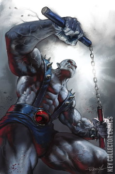 Variant Cover for Thundercats #23