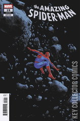 Variant Cover for Amazing Spider-Man #19