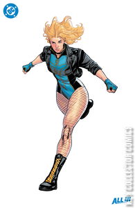 Birds of Prey #14 