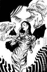 Variant Cover for Witchblade #12