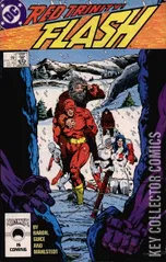 Cover for Flash #7