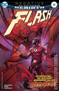 Flash #30