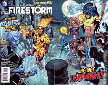 Fury of Firestorm: The Nuclear Men #19