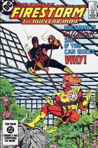 Firestorm the Nuclear Man #28