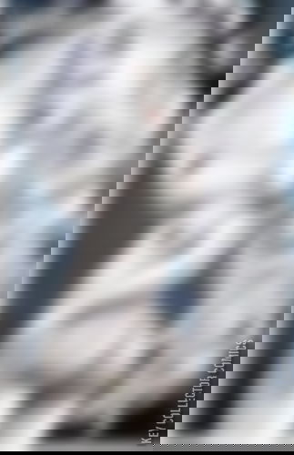 Cover art for Lady Death: Visions #1 