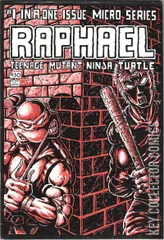 Cover for Raphael: Teenage Mutant Ninja Turtles #1