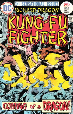 Richard Dragon's Kung-Fu Fighter