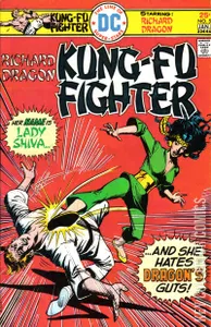 Richard Dragon's Kung-Fu Fighter #5