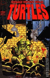 Teenage Mutant Ninja Turtles #12
