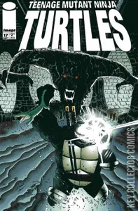 Teenage Mutant Ninja Turtles #17