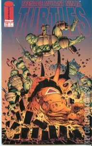 Teenage Mutant Ninja Turtles #19
