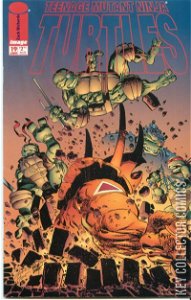Teenage Mutant Ninja Turtles #19