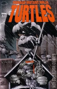 Teenage Mutant Ninja Turtles #8