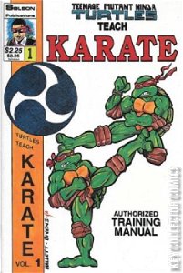 Teenage Mutant Ninja Turtles Teach Karate