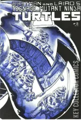 Variant Cover for Teenage Mutant Ninja Turtles #2