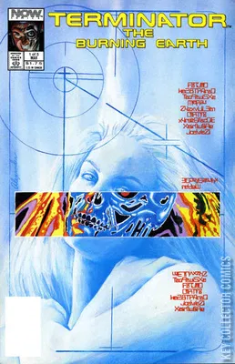 Terminator: The Burning Earth