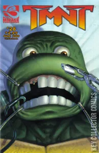 TMNT: Teenage Mutant Ninja Turtles #28
